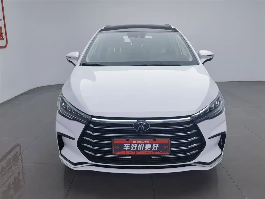 BYD MAX New Energy 2023 из CN, фото 7