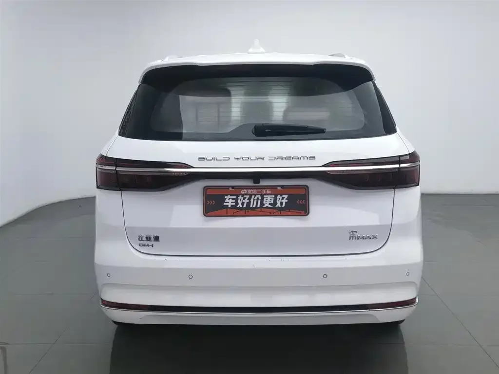 BYD MAX New Energy 2023 из CN, фото 3