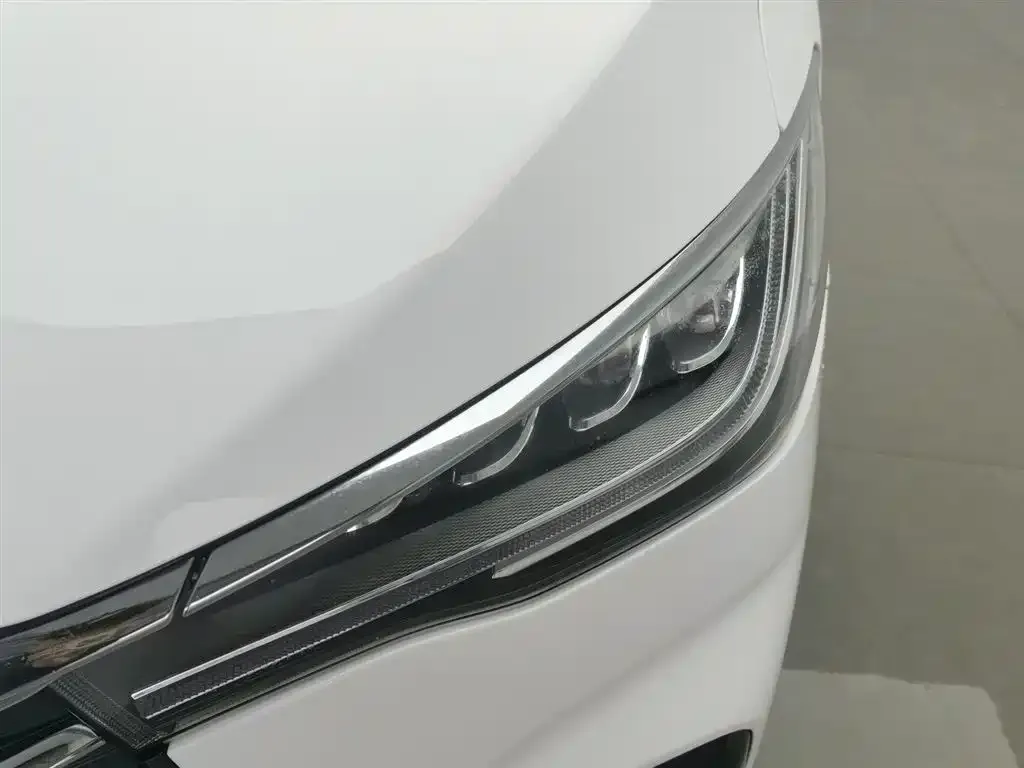 BYD MAX New Energy 2023 из CN, фото 2