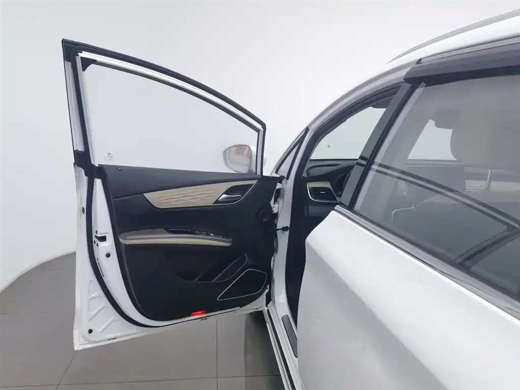 BYD MAX New Energy 2023 из CN, фото 5