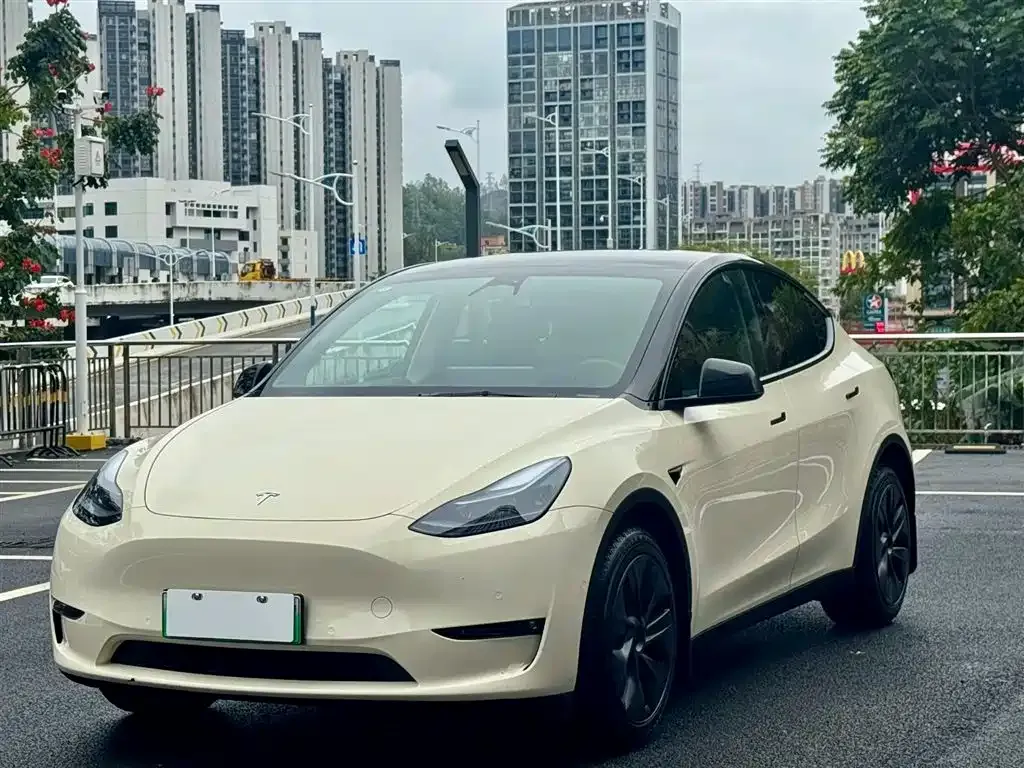 Tesla Model Y — фото 1