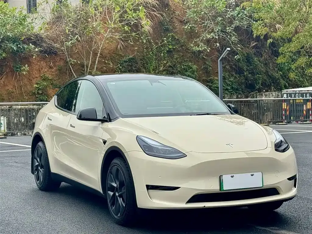 Tesla Model Y — фото 6