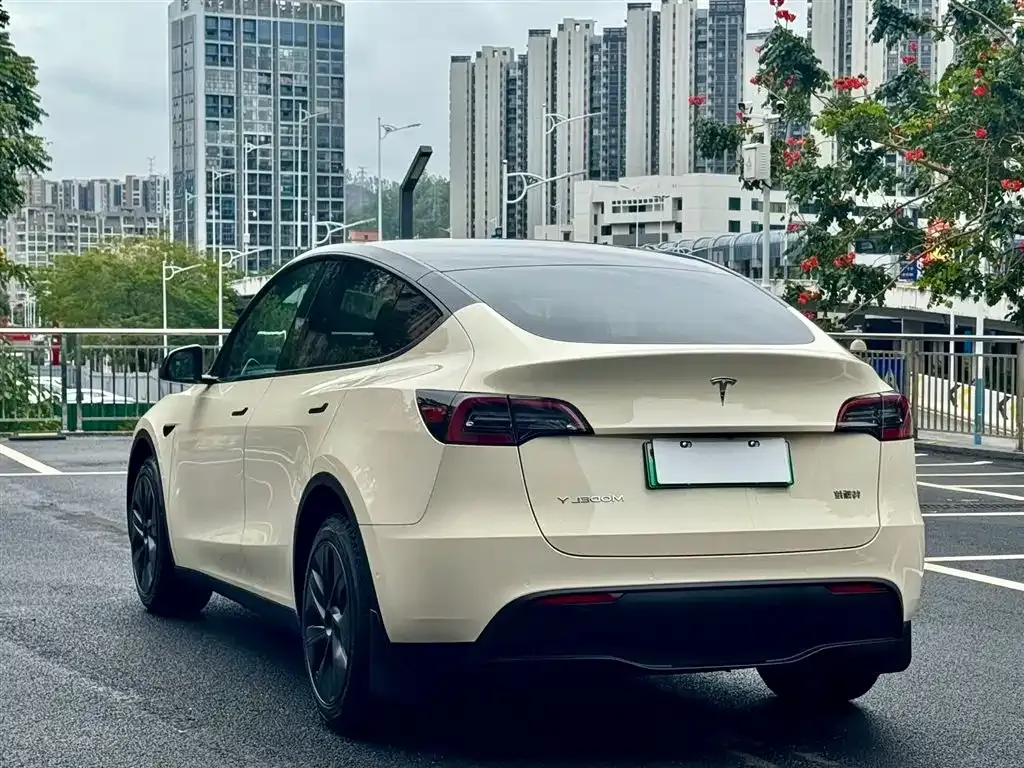 Tesla Model Y — фото 8
