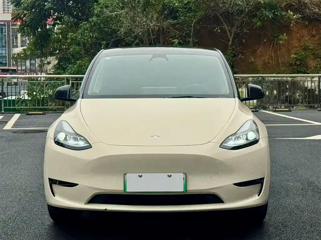 Tesla Model Y — фото 7
