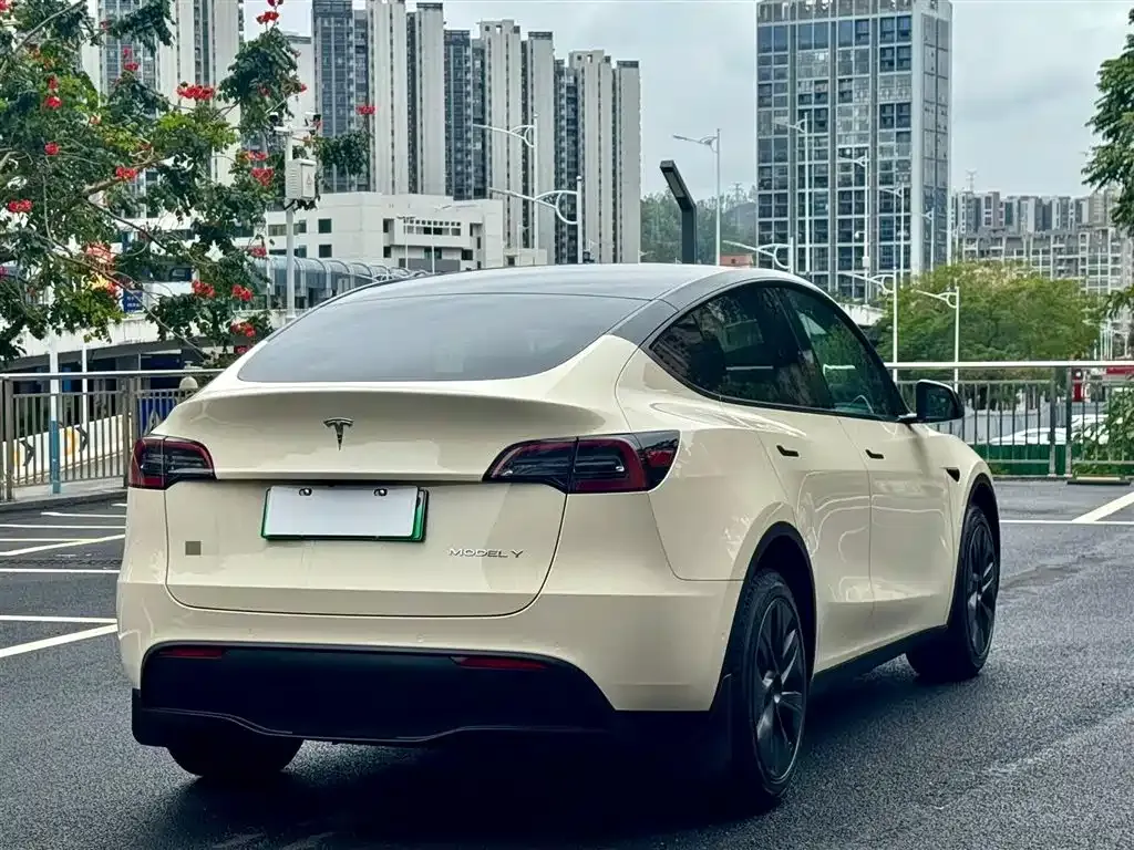 Tesla Model Y — фото 9