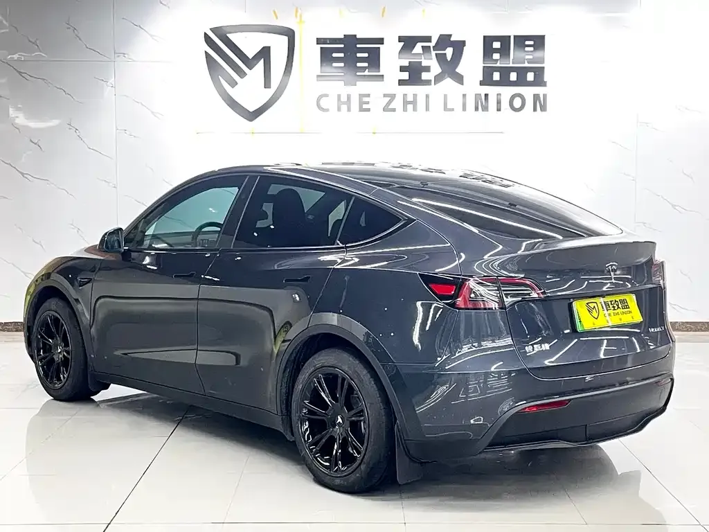 Tesla Model Y — фото 10