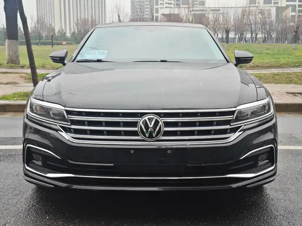 Volkswagen Phideon 2021 из CN, фото 4