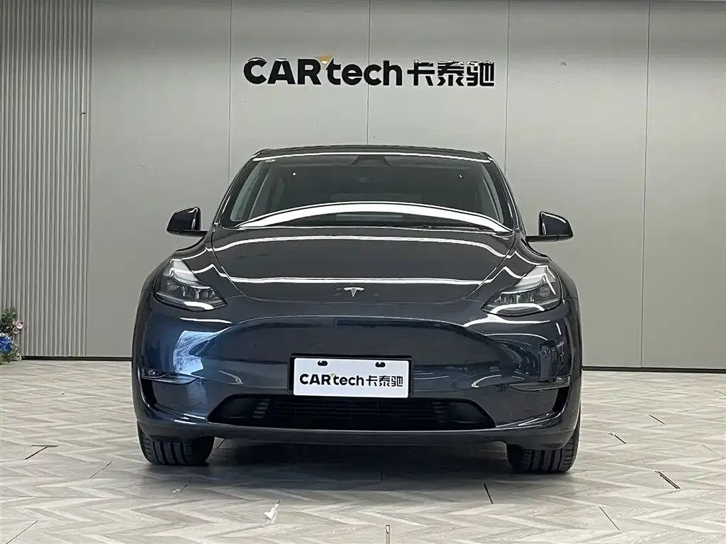 Tesla Model Y — фото 2