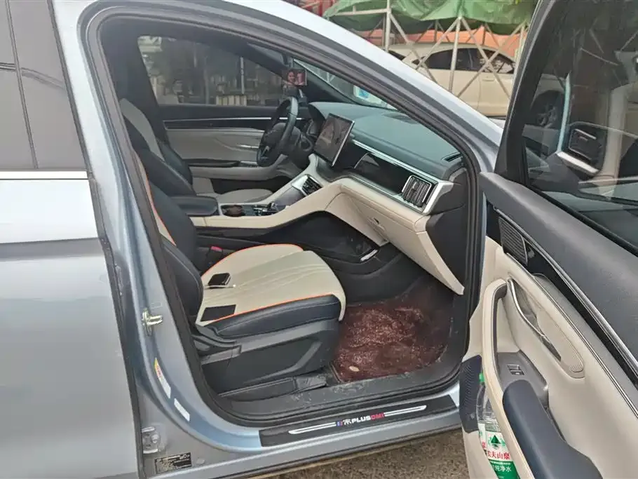BYD PLUS New Energy 2023 из CN, фото 8