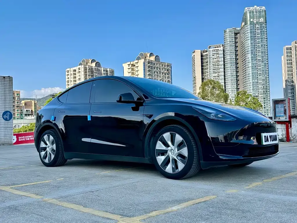 Tesla Model Y — фото 6