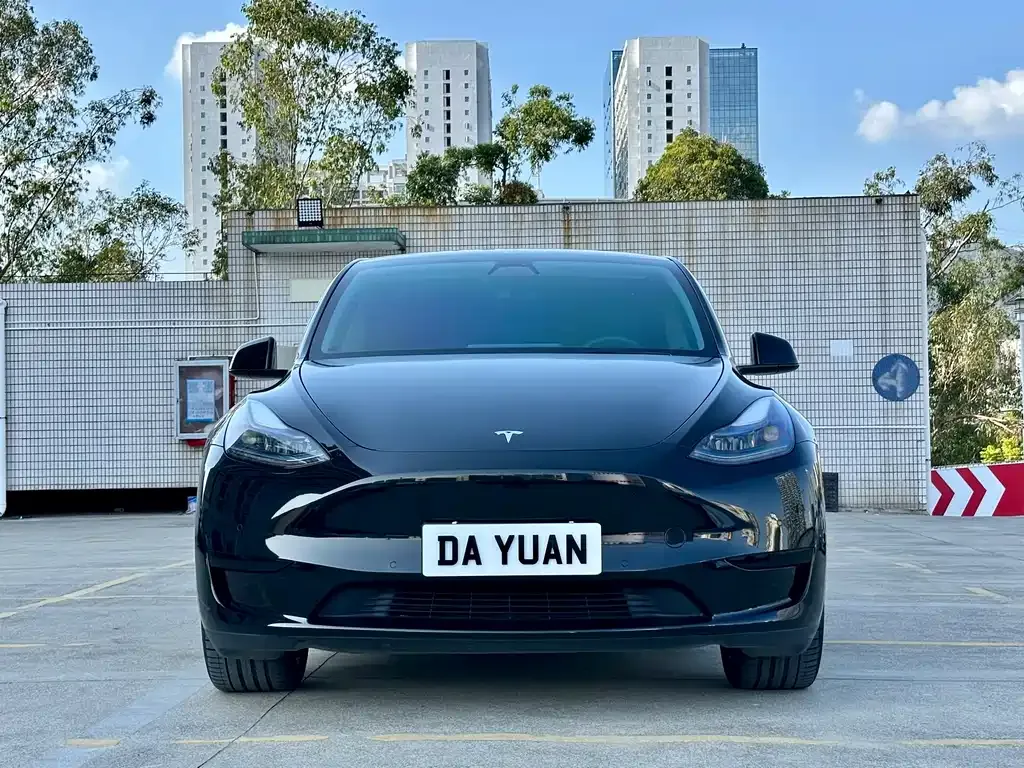 Tesla Model Y — фото 10
