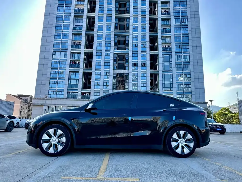 Tesla Model Y — фото 2
