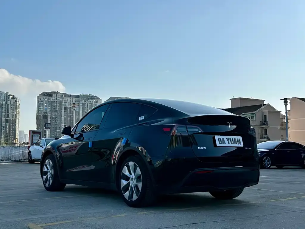 Tesla Model Y — фото 5