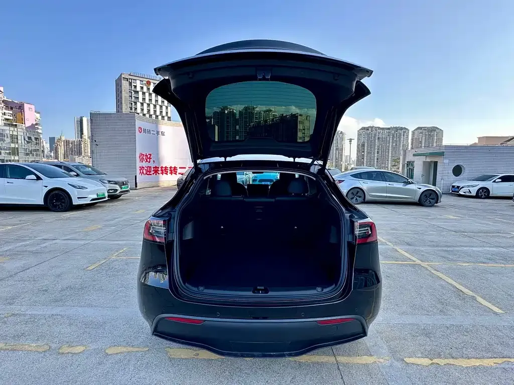 Tesla Model Y — фото 3