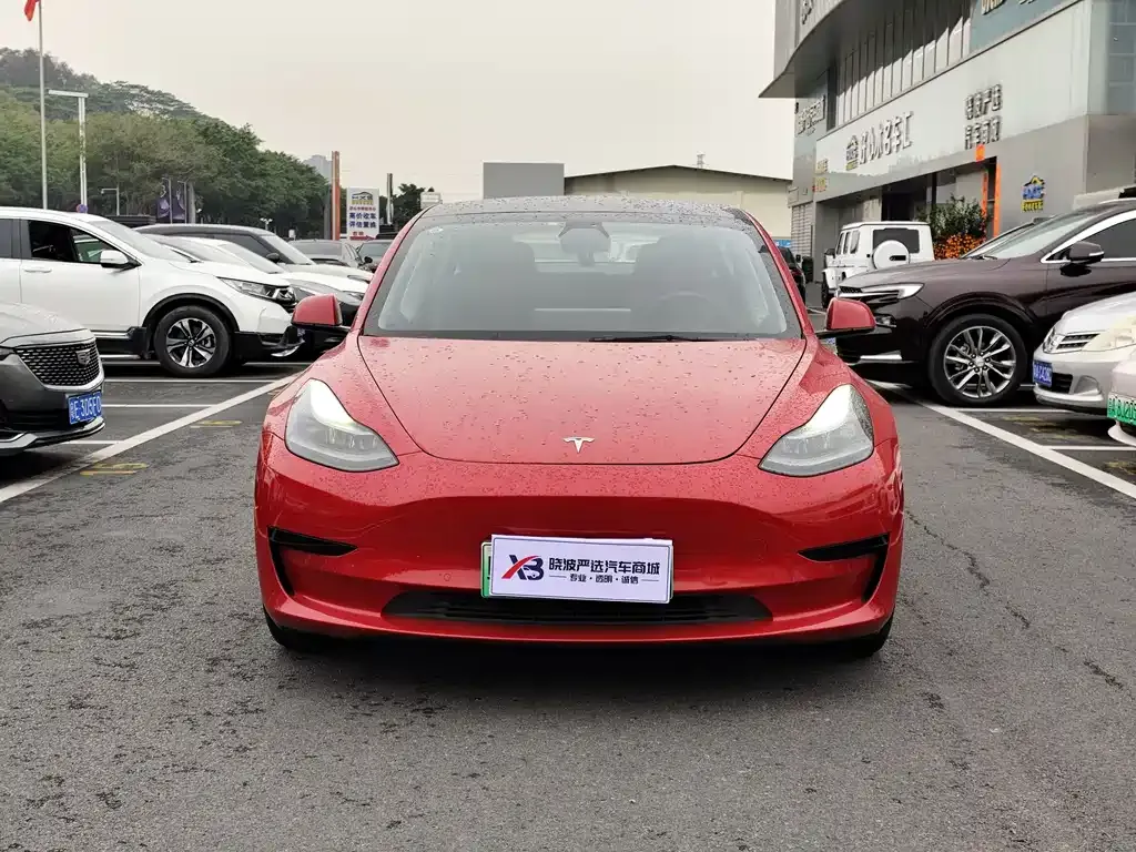 Tesla Model 3 2021 из CN, фото 9