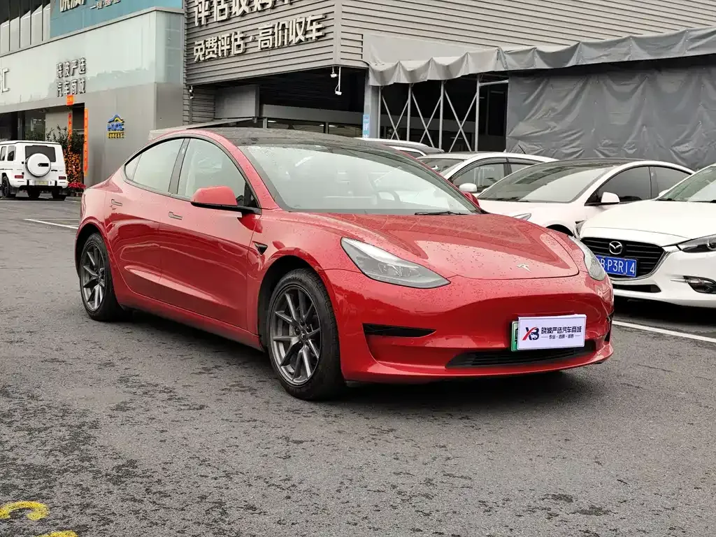 Tesla Model 3 2021 из CN, фото 7