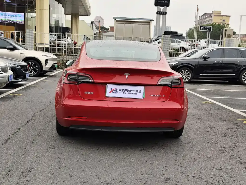 Tesla Model 3 2021 из CN, фото 6