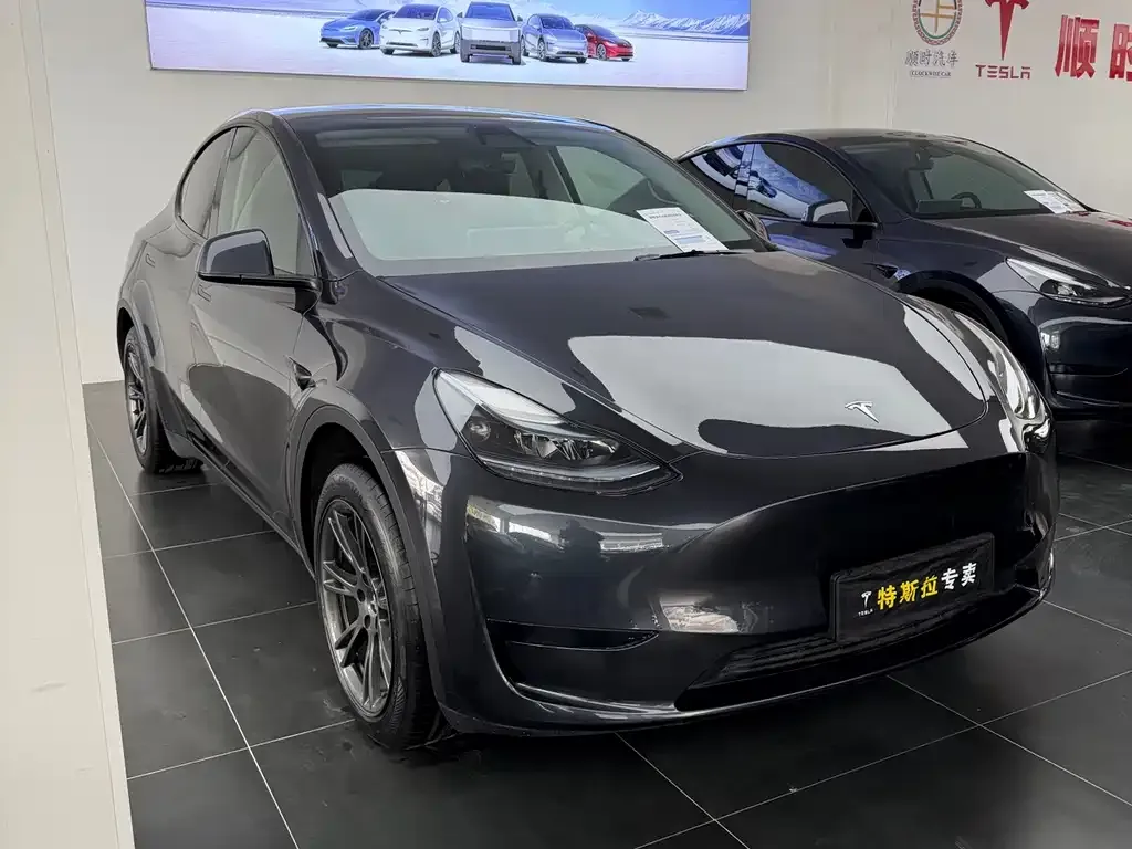Tesla Model Y — фото 6