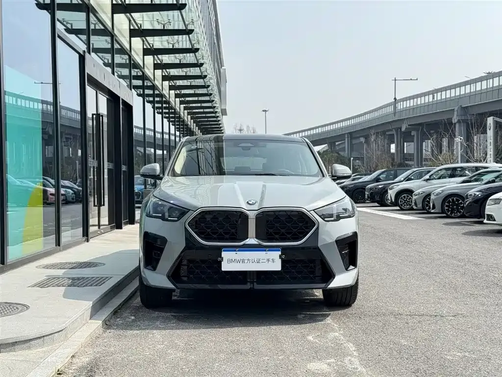BMW X2 (Import) 2025 из CN, фото 9
