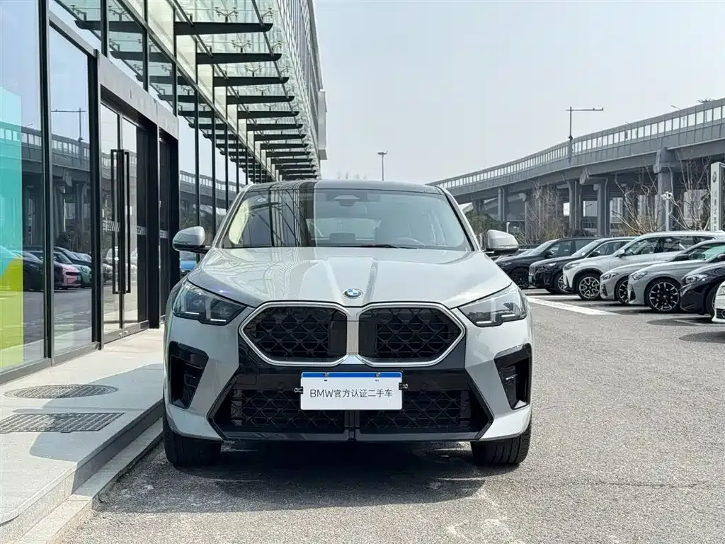 BMW X2 (Import) 2025 из CN, фото 10