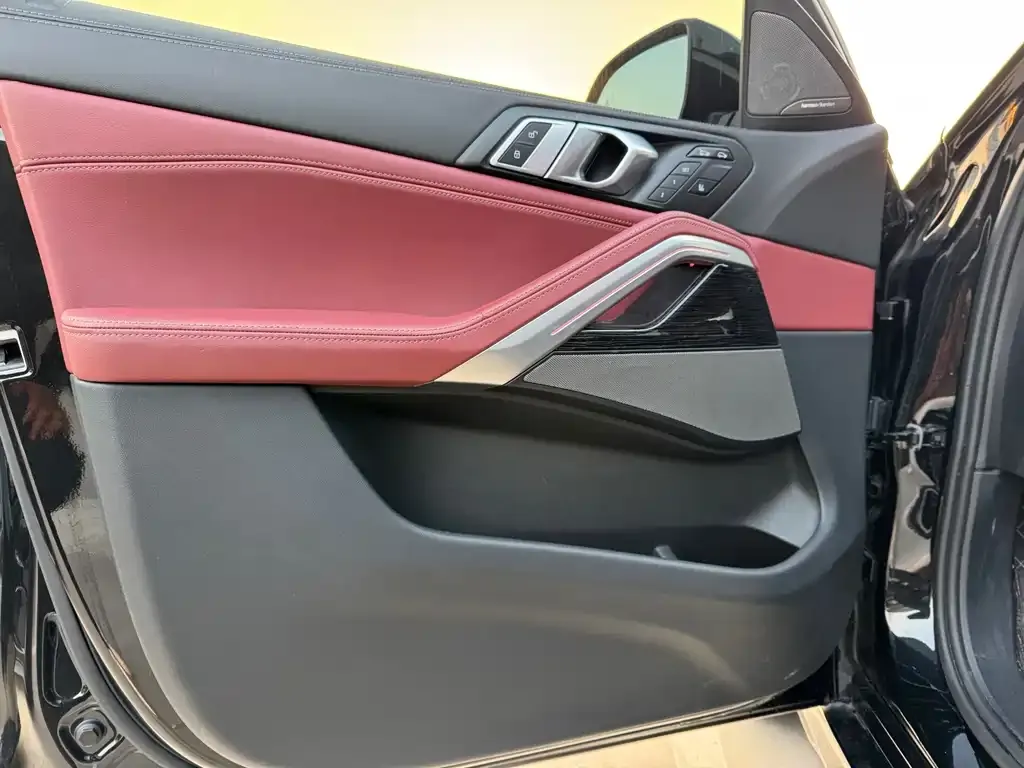 BMW X6 2024 из CN, фото 6