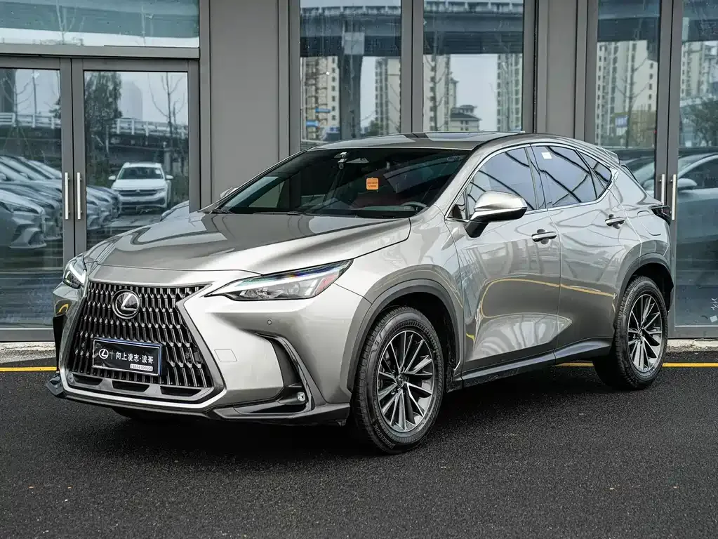 Lexus NX 2024 из CN, фото 1