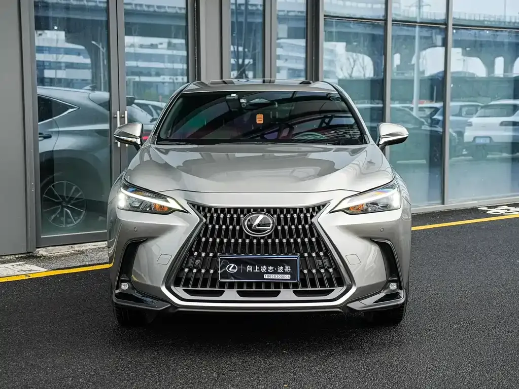 Lexus NX 2024 из CN, фото 9