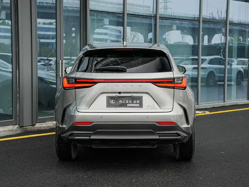 Lexus NX 2024 из CN, фото 4