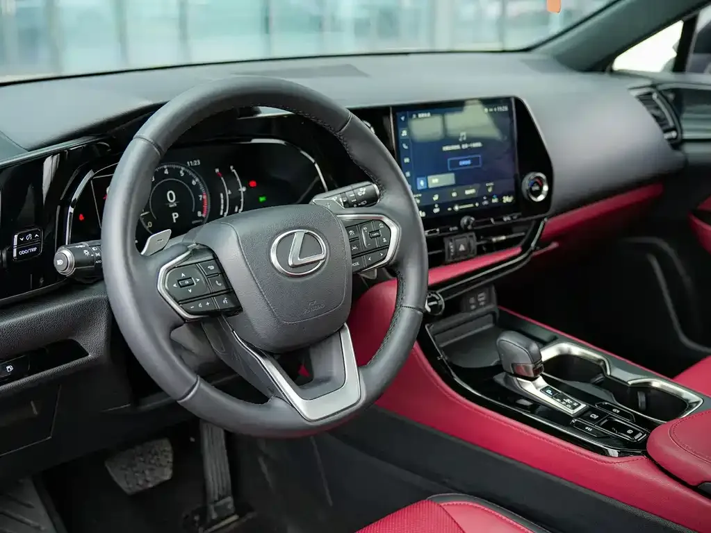 Lexus NX 2024 из CN, фото 8