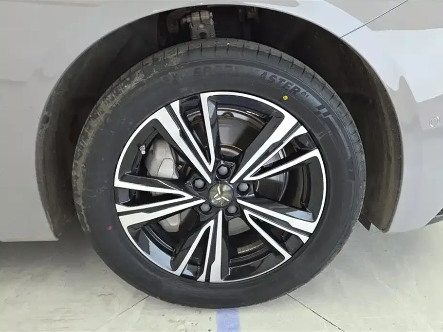 Hongqi EH7 2024 из CN, фото 4