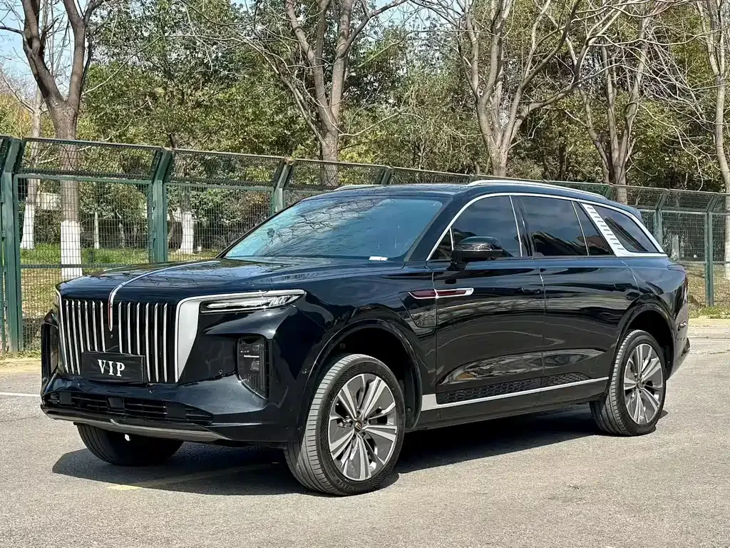 Hongqi E-HS9 2021 из CN, фото 1