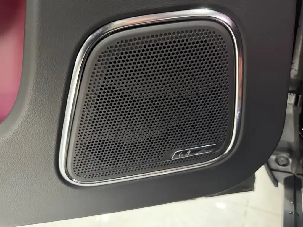 Hongqi E-HS9 2021 из CN, фото 4