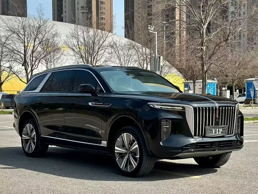 Hongqi E-HS9 2021 из CN, фото 9