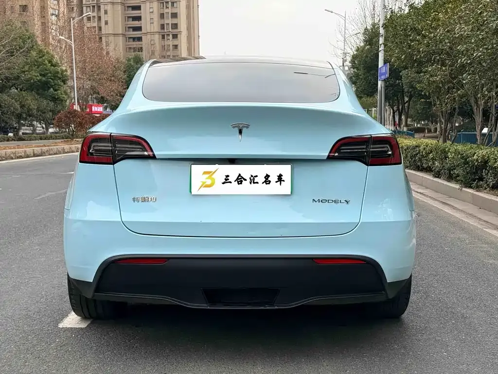 Tesla Model Y 2024 из CN, фото 9