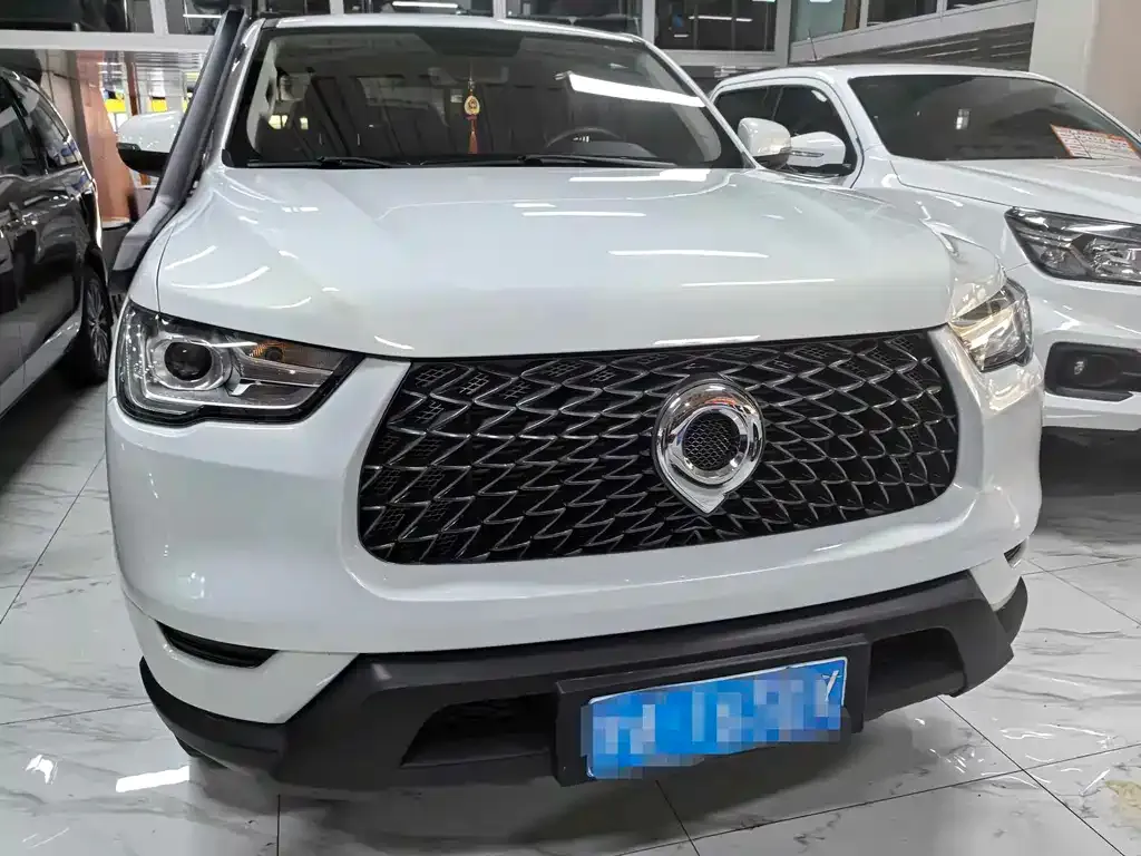 Great Wall Pao 2023 из CN, фото 10