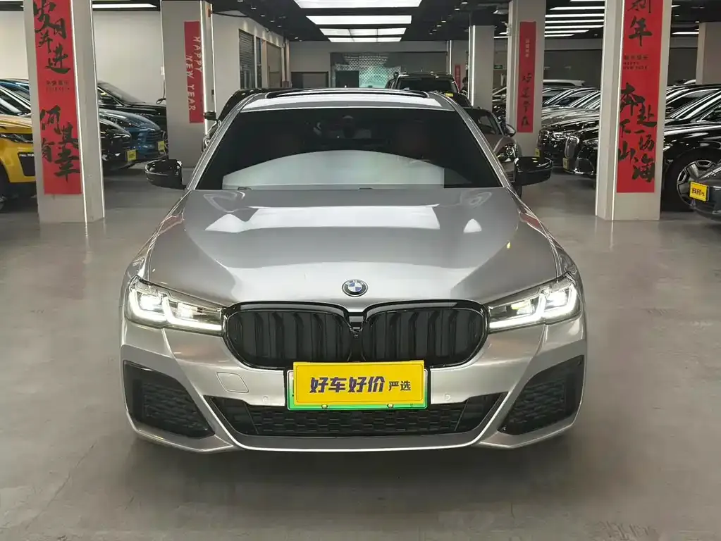 BMW 5 Series New Energy 2023 из CN, фото 8