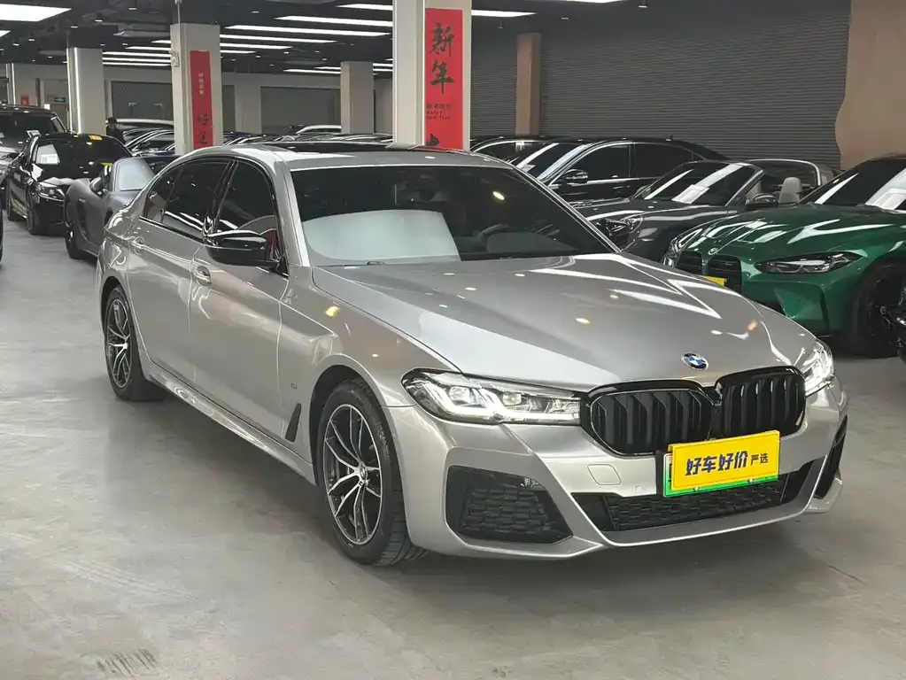 BMW 5 Series New Energy 2023 из CN, фото 9