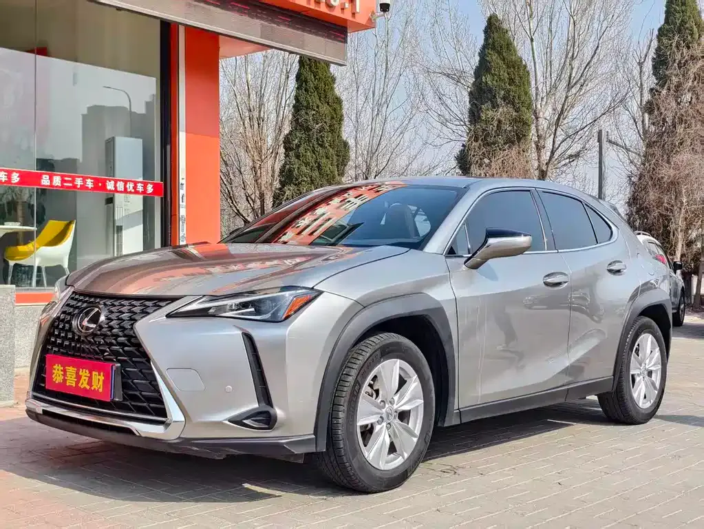 Lexus UX 2021 из CN, фото 1