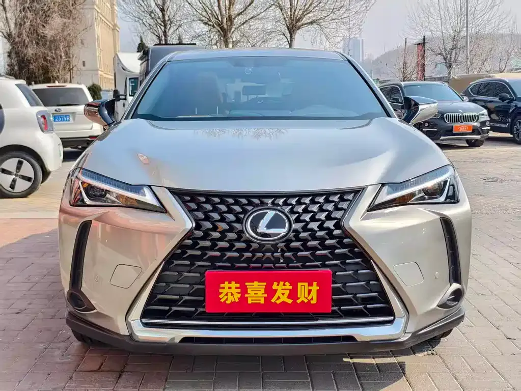 Lexus UX 2021 из CN, фото 2
