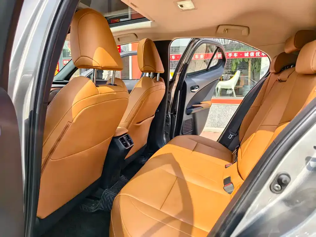 Lexus UX 2021 из CN, фото 4