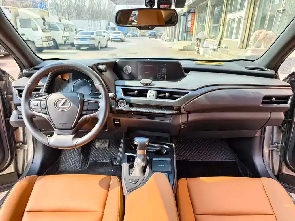Lexus UX 2021 из CN, фото 10