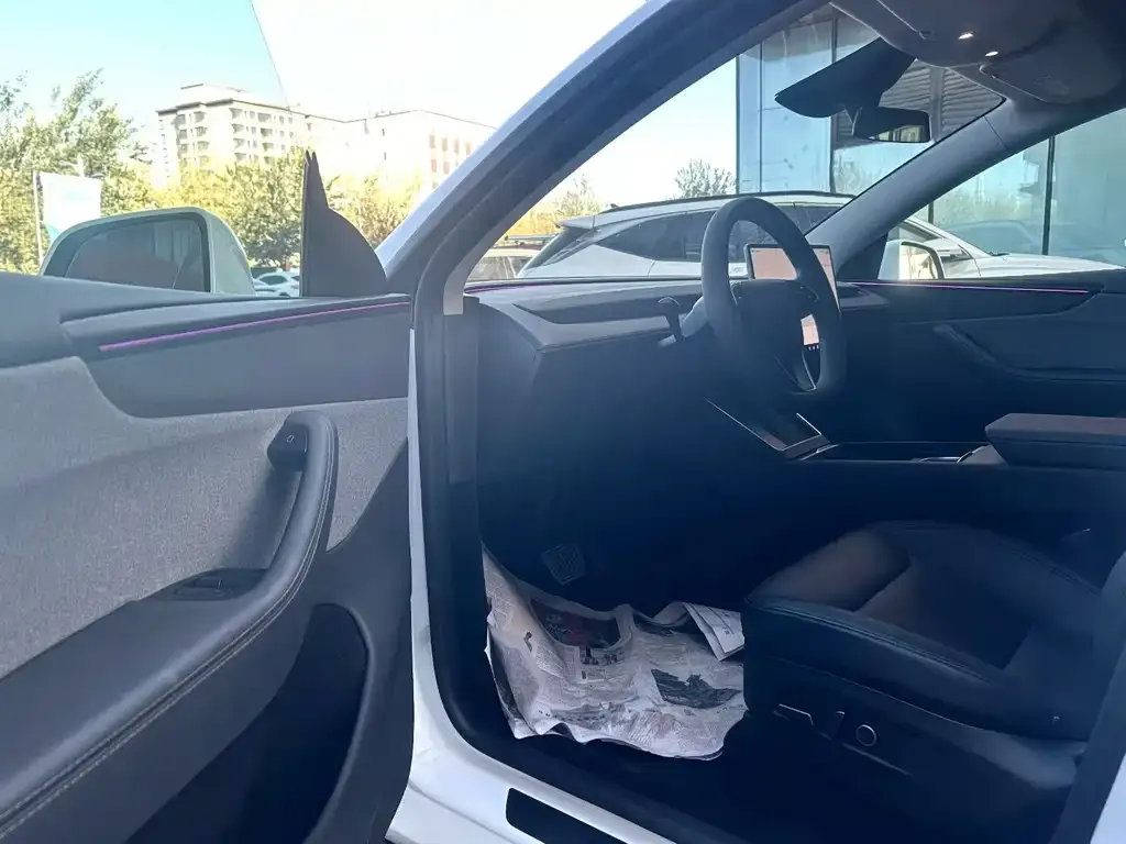 Tesla Model Y — фото 3
