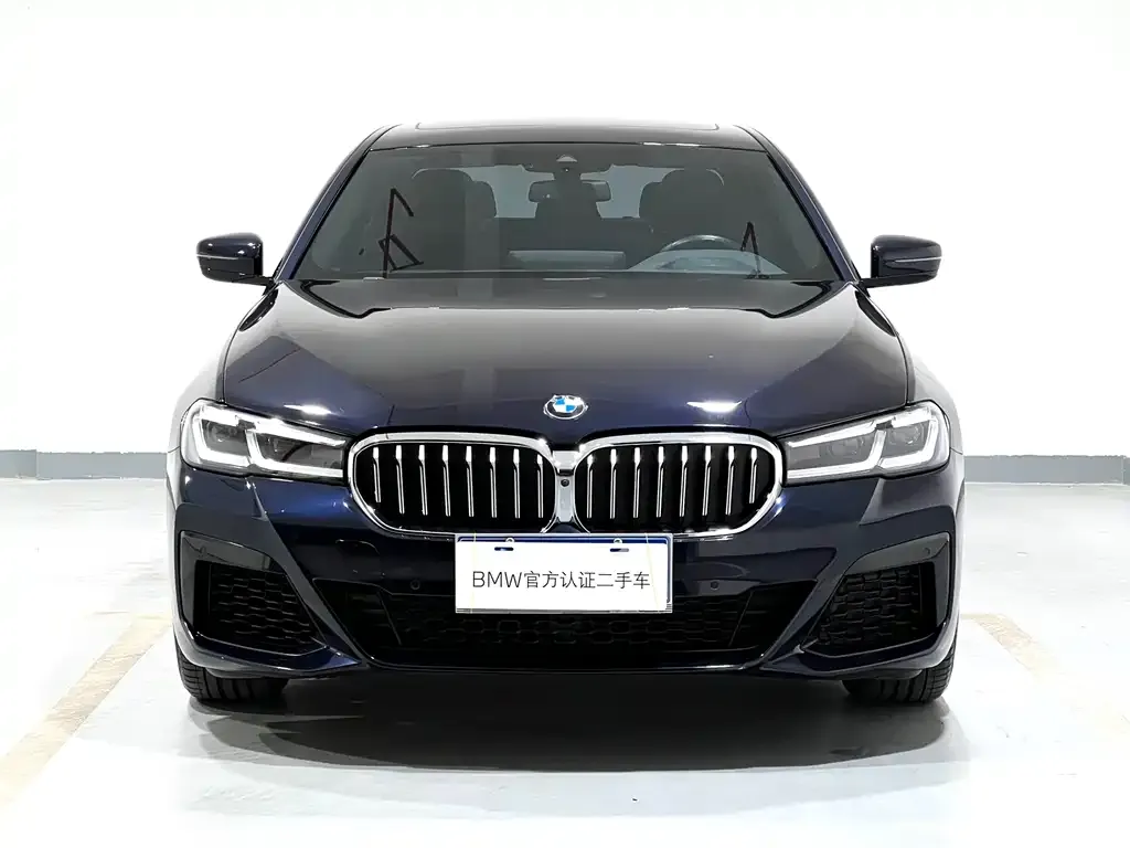 BMW 5 Series (Import) — фото 2