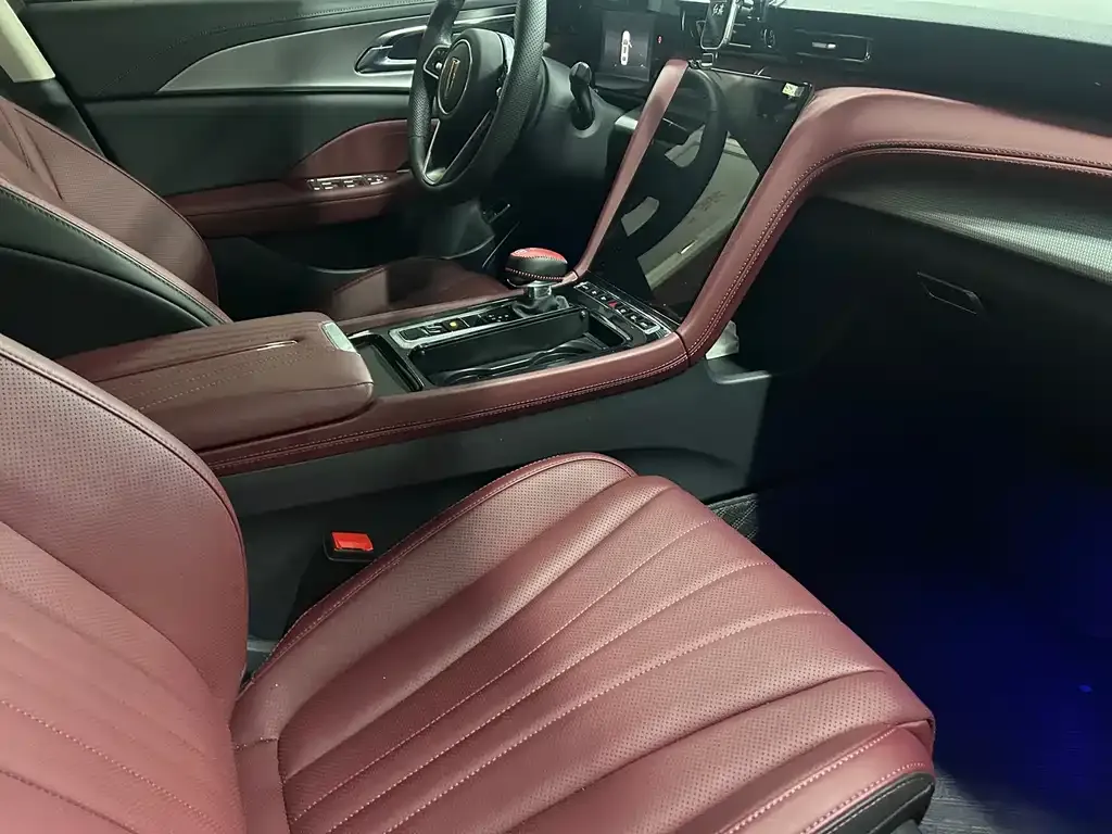 Hongqi H5 2024 из CN, фото 6