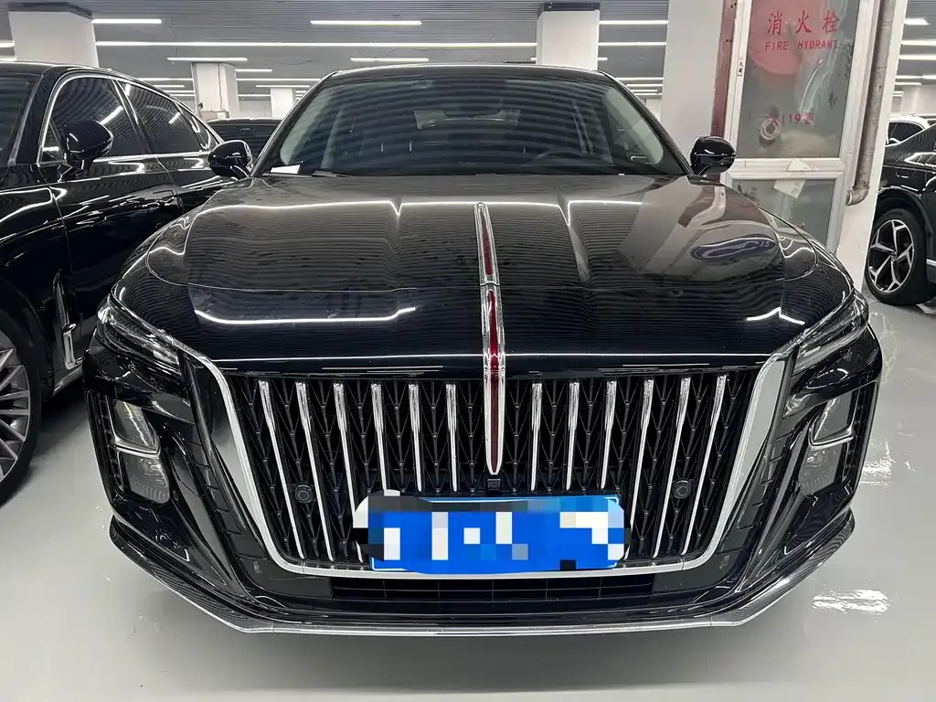 Hongqi H5 2024 из CN, фото 10