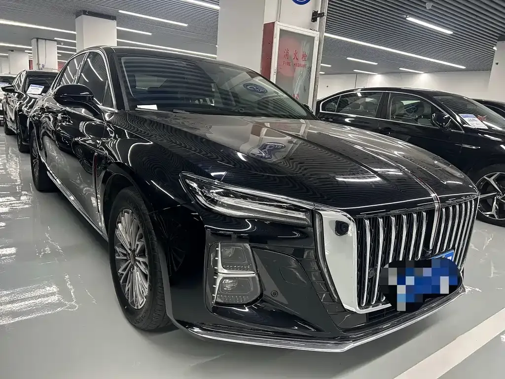 Hongqi H5 2024 из CN, фото 7