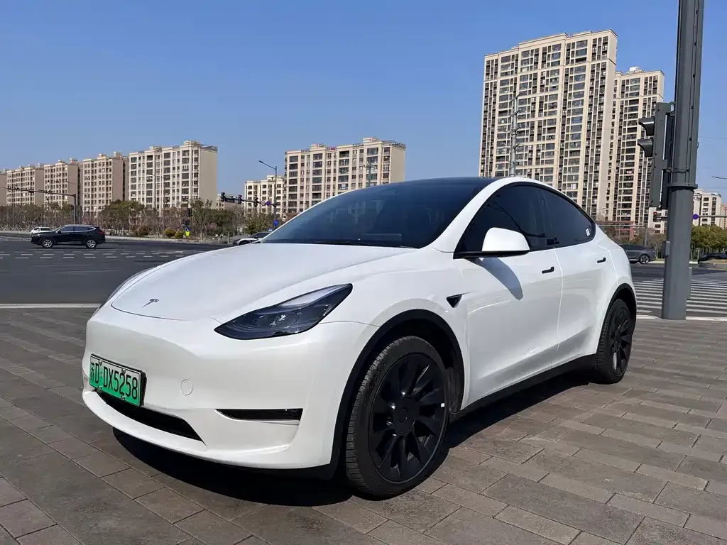 Tesla Model Y 2024 из CN, фото 1