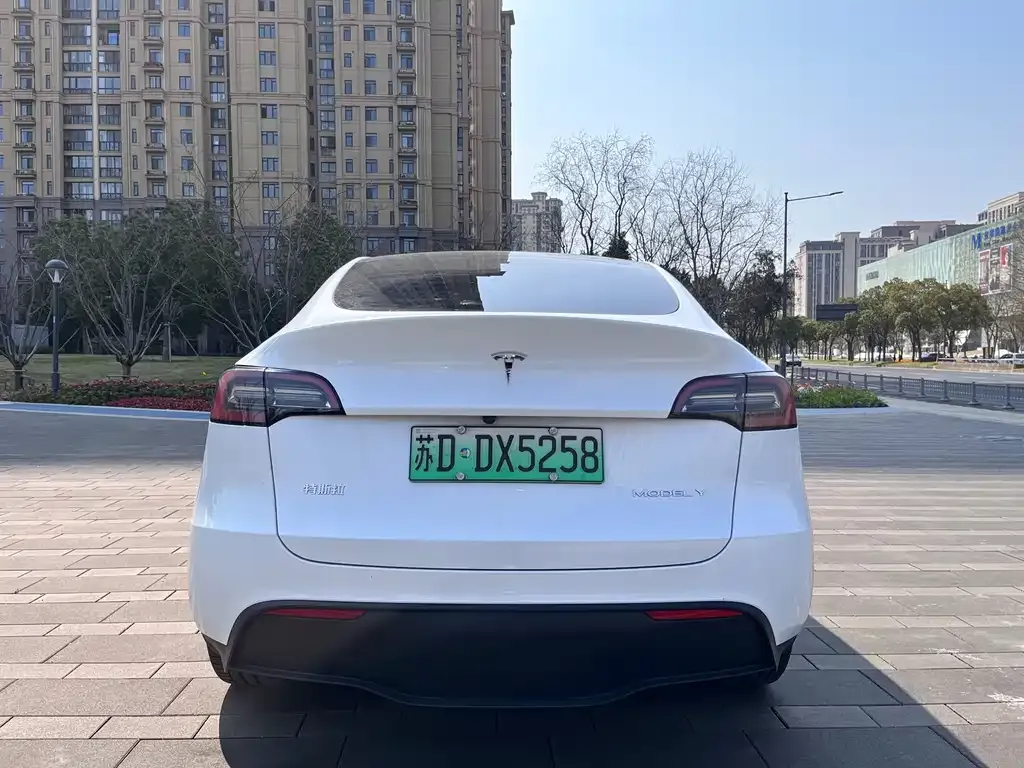 Tesla Model Y 2024 из CN, фото 9