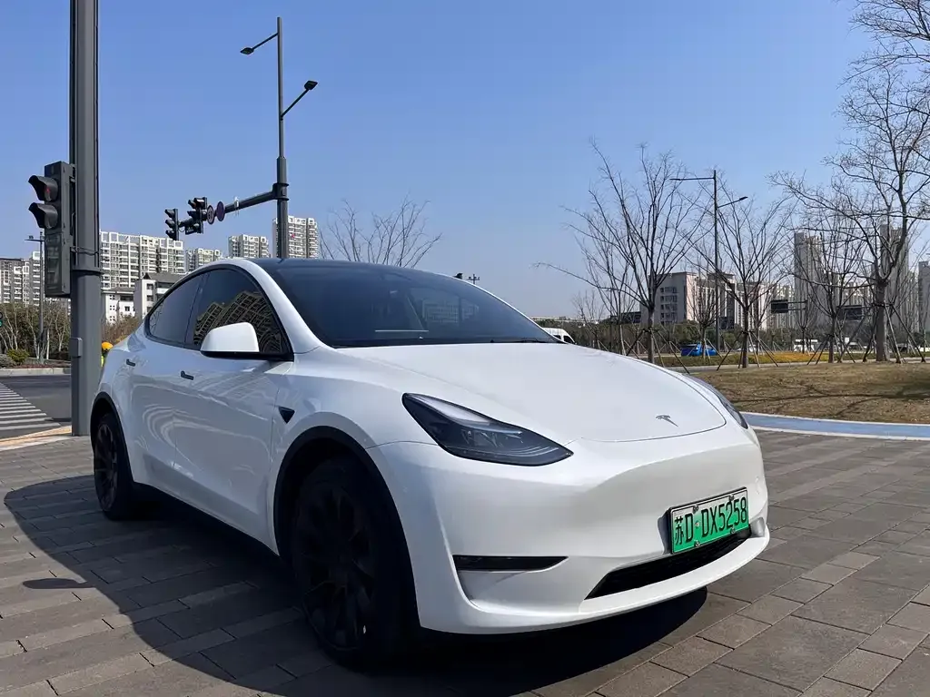 Tesla Model Y 2024 из CN, фото 7