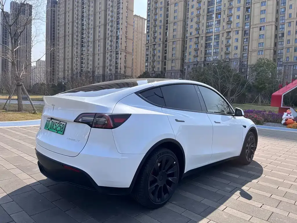 Tesla Model Y 2024 из CN, фото 10